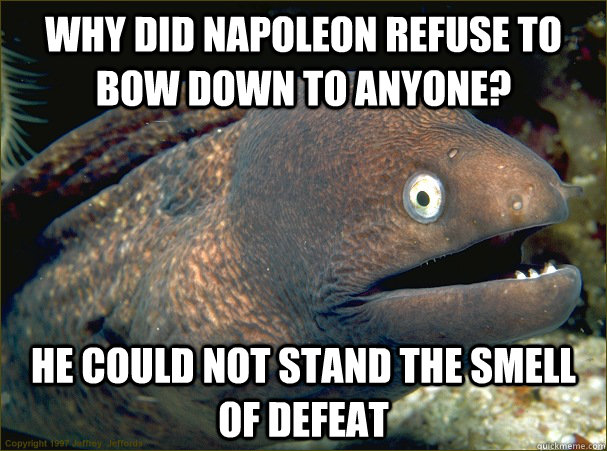 why did napoleon refuse to bow down to anyone? he could not stand the smell of defeat  Bad Joke Eel