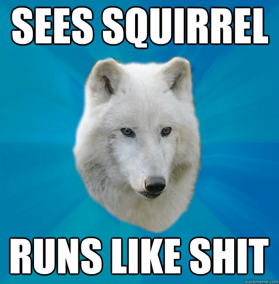 sees squirrel runs like shit  Coward Wolf