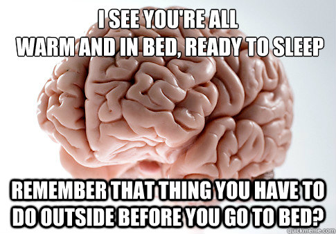 I see you're all
 warm and in bed, ready to sleep Remember that thing you have to do outside before you go to bed?   - I see you're all
 warm and in bed, ready to sleep Remember that thing you have to do outside before you go to bed?    Scumbag Brain