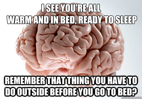 I see you're all
 warm and in bed, ready to sleep Remember that thing you have to do outside before you go to bed?    Scumbag Brain