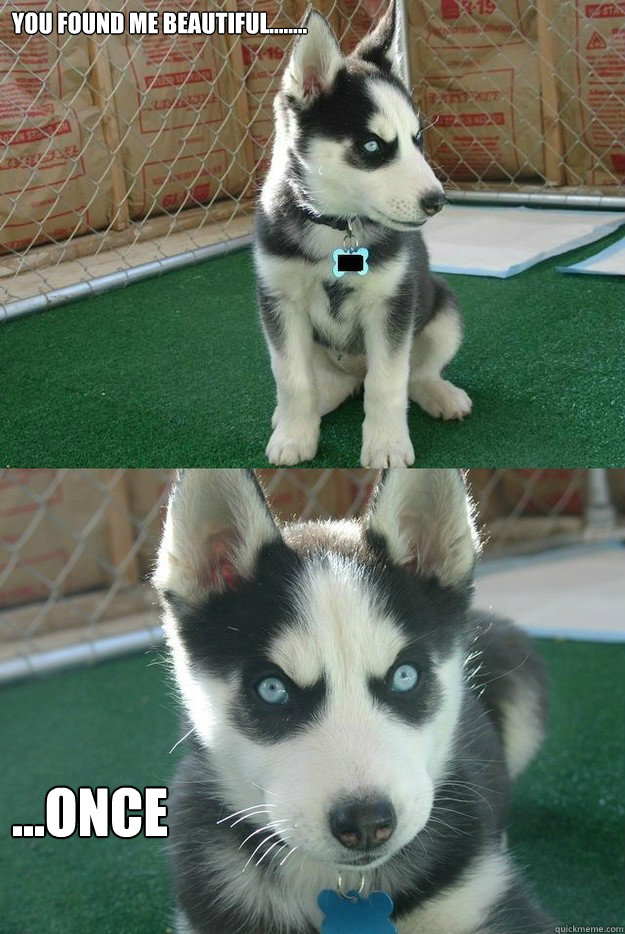You found me beautiful........ ...once  Insanity puppy
