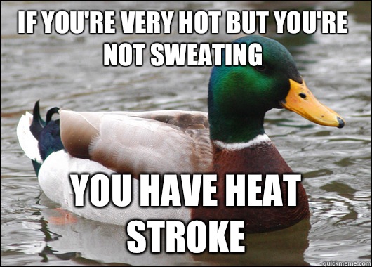 If you're very hot but you're not sweating You have heat stroke  Actual Advice Mallard