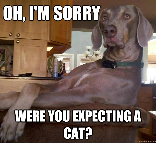 Oh, I'm sorry Were you expecting a cat? - Oh, I'm sorry Were you expecting a cat?  Passive Aggressive Dog