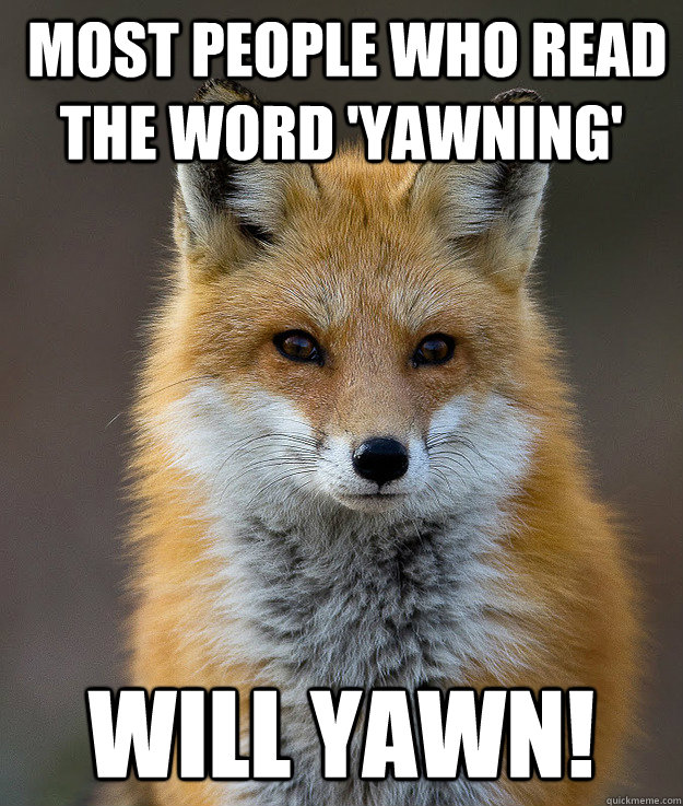  Most people who read the word 'yawning'  will yawn! -  Most people who read the word 'yawning'  will yawn!  Fun Fact Fox
