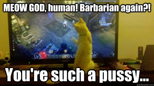 MEOW GOD, human! Barbarian again?! You're such a pussy... - MEOW GOD, human! Barbarian again?! You're such a pussy...  Diablo cat