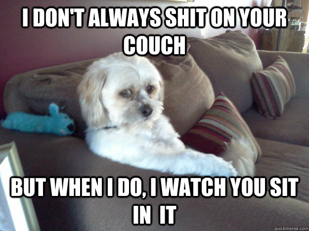 I don't always shit on your couch But when I do, I watch you sit in  it - I don't always shit on your couch But when I do, I watch you sit in  it  The Most Interesting Dog in the World