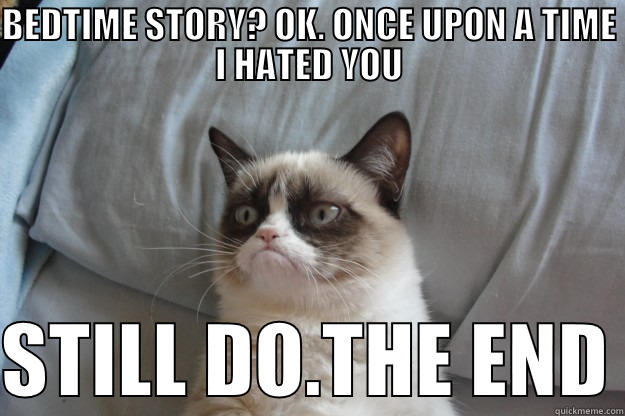 BEDTIME STORY? OK. ONCE UPON A TIME I HATED YOU  STILL DO.THE END Grumpy Cat