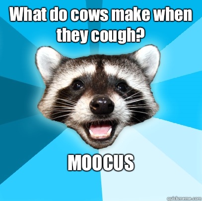 What do cows make when they cough? MOOCUS
  Lame Pun Coon
