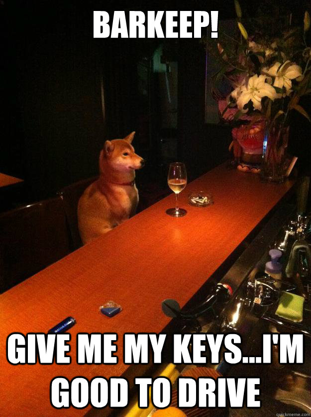 Barkeep!     Give me my keys...I'm good to drive - Barkeep!     Give me my keys...I'm good to drive  Drunk Dog