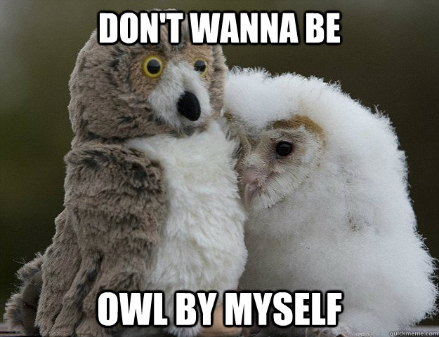 1f77f2227ca1d7f7d7f33029cd0d70312e09a8fc