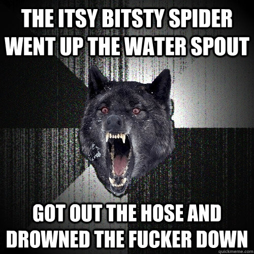 The itsy bitsty spider went up the water spout Got out the hose and drowned the fucker down  Insanity Wolf