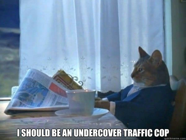  I should be an undercover traffic cop  morning realization newspaper cat meme