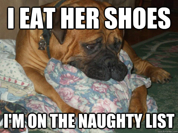 I eat her shoes I'm on the naughty list  Sad Dog