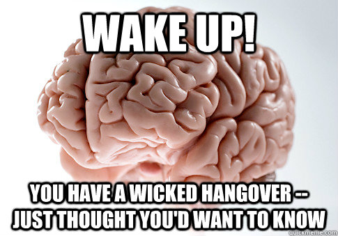 wake up! You have a wicked hangover -- just thought you'd want to know  Scumbag Brain