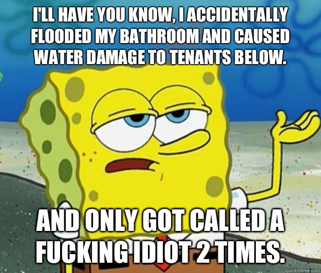 I'll have you know, I accidentally flooded my bathroom and caused water damage to tenants below.  And only got called a fucking idiot 2 times.   Tough Spongebob