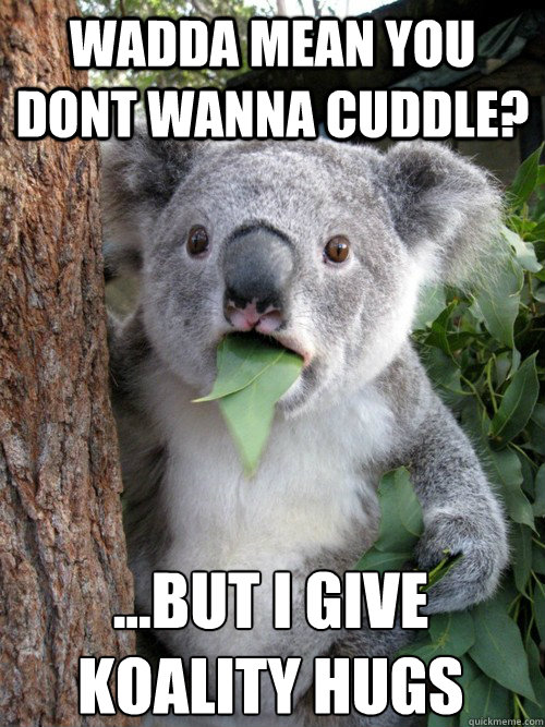 wadda mean you dont wanna cuddle? ...but i give 
koality hugs - wadda mean you dont wanna cuddle? ...but i give 
koality hugs  Surprised Koala