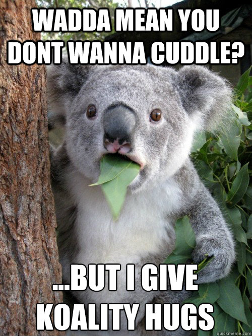 wadda mean you dont wanna cuddle? ...but i give 
koality hugs  Surprised Koala