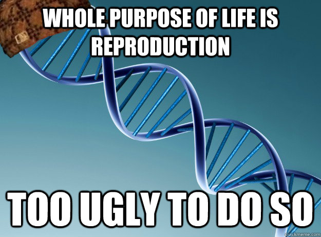 Whole purpose of life is reproduction too ugly to do so - Whole purpose of life is reproduction too ugly to do so  Scumbag Genetics