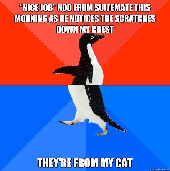 “Nice job” nod from suitemate this morning as he notices the scratches down my chest They're from my cat  Socially Awesome Awkward Penguin