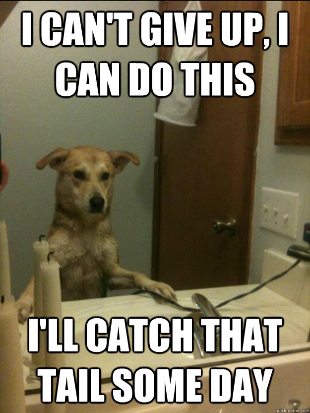 i can't give up, i can do this i'll catch that tail some day - i can't give up, i can do this i'll catch that tail some day  Misc
