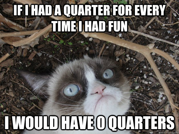 If I had a quarter for every time I had fun I would have 0 quarters - If I had a quarter for every time I had fun I would have 0 quarters  Misc