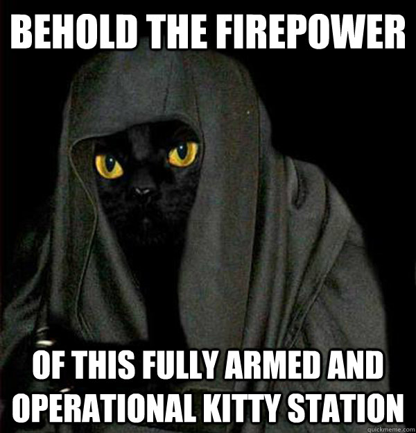 Behold the firepower of this fully armed and operational kitty station - Behold the firepower of this fully armed and operational kitty station  Darth Meow