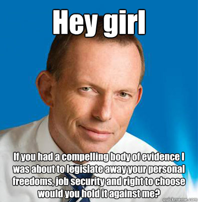 Hey girl If you had a compelling body of evidence I was about to legislate away your personal freedoms, job security and right to choose would you hold it against me? - Hey girl If you had a compelling body of evidence I was about to legislate away your personal freedoms, job security and right to choose would you hold it against me?  Hey Girl Tony Abbott