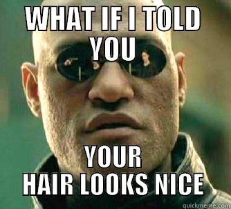 WHAT IF I TOLD YOU YOUR HAIR LOOKS NICE Matrix Morpheus