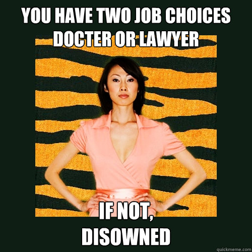 you have two job choices
docter or lawyer if not, 
disowned  Tiger Mom