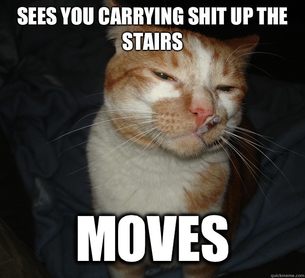 Sees you carrying shit up the stairs Moves  Cool Cat Craig