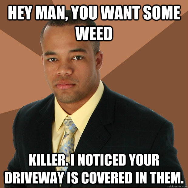 Hey man, you want some weed killer. i noticed your driveway is covered in them.  Successful Black Man