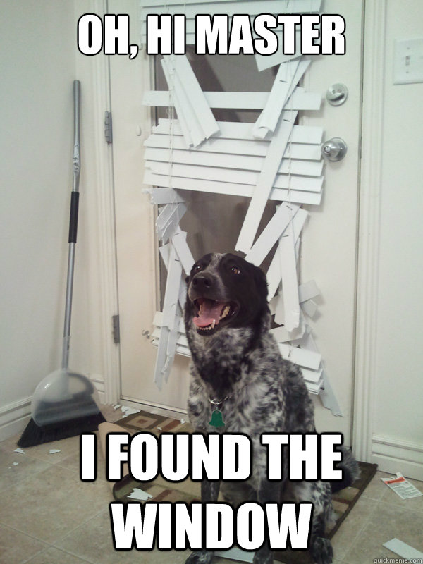 oh, hi master i found the window - oh, hi master i found the window  It wont happen again. I promise