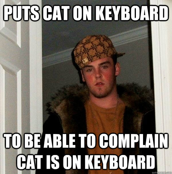 Puts cat on keyboard to be able to complain cat is on keyboard  Scumbag Steve