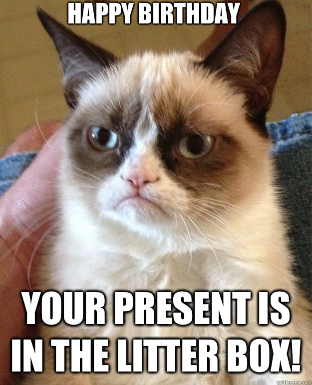 Happy Birthday Your present is in the litter box!  grumpy cat birthday