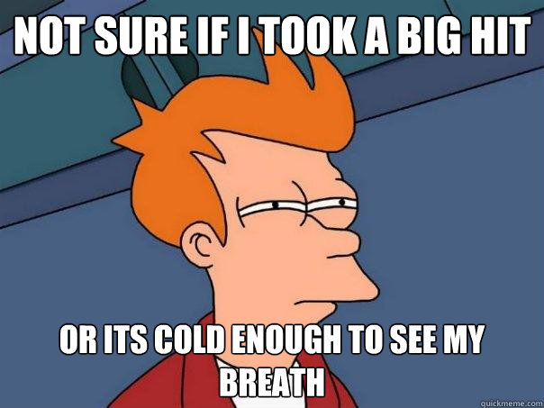 Not sure if I took a big hit  Or its cold enough to see my breath  Futurama Fry