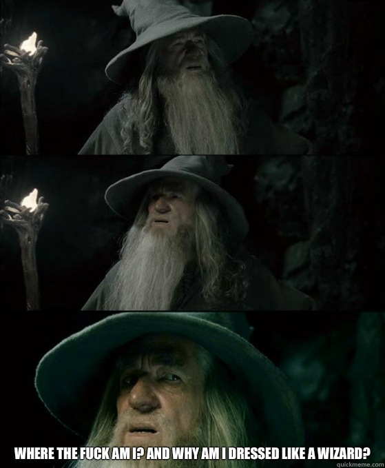  Where the fuck am I? And why am I dressed like a wizard?  Confused Gandalf
