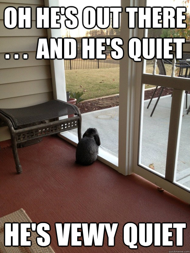 Oh he's out there . . .  and he's quiet he's vewy quiet  Facing Reality Bunny