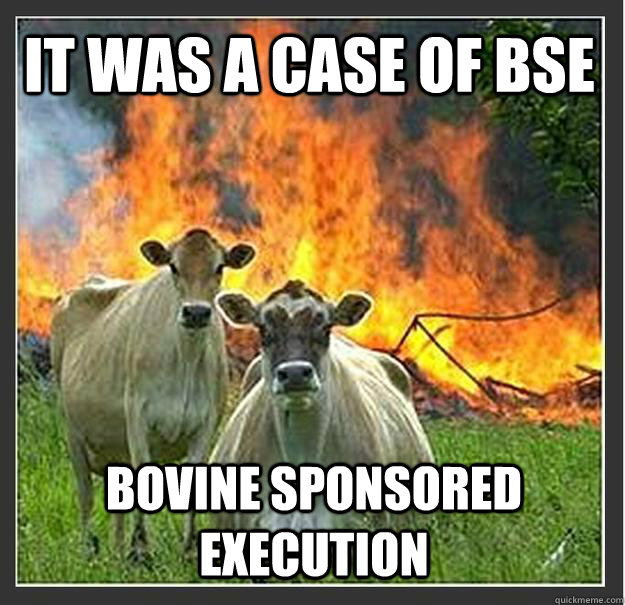 It was a case of BSE Bovine sponsored execution  Evil cows