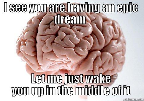 I SEE YOU ARE HAVING AN EPIC DREAM  LET ME JUST WAKE YOU UP IN THE MIDDLE OF IT Scumbag Brain