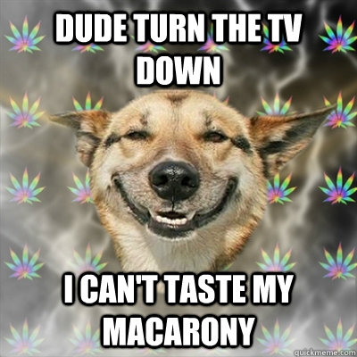 Dude turn the tv down i can't taste my macarony  Stoner Dog