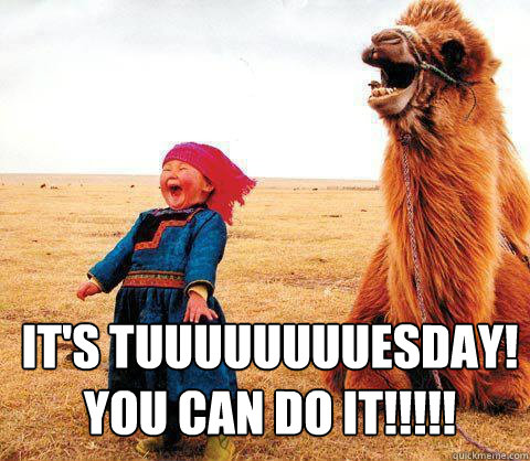 It's tuuuuuuuuesday!
You Can Do It!!!!!  