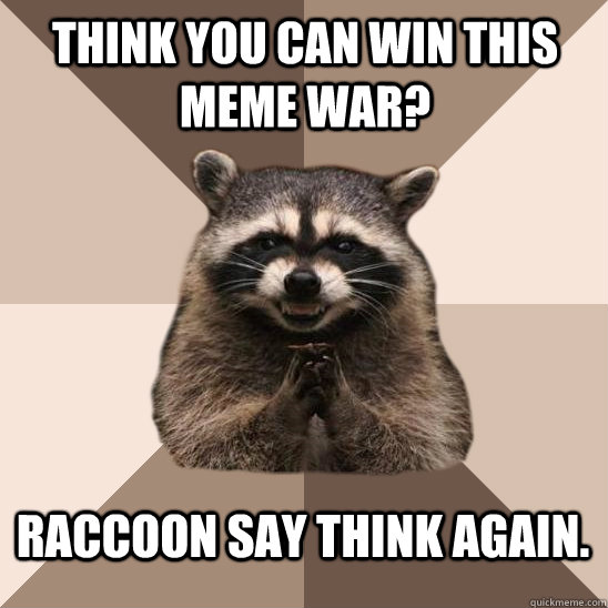 think you can win this meme war? raccoon say think again.  Evil Plotting Raccoon