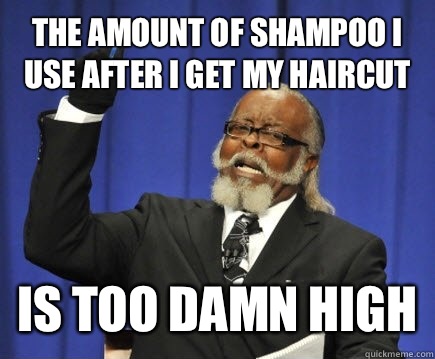 The amount of shampoo I use after I get my haircut Is too damn high  Too Damn High