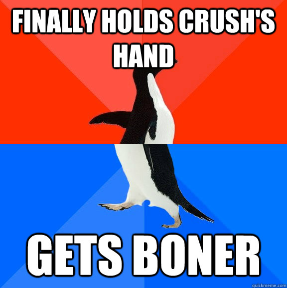 Finally Holds crush's hand Gets Boner  Socially Awesome Awkward Penguin