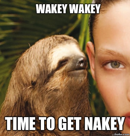 Wakey wakey Time to get nakey - Wakey wakey Time to get nakey  rape sloth