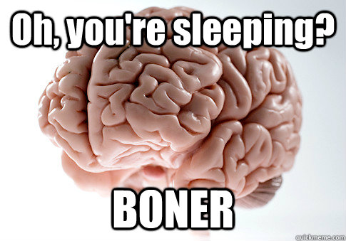 Oh, you're sleeping? BONER   Scumbag Brain
