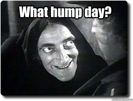 What hump day? - What hump day?  What hump day