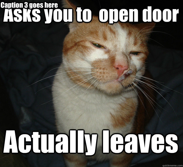 Asks you to  open door Actually leaves Caption 3 goes here  Cool Cat Craig
