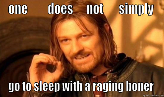 ONE         DOES      NOT       SIMPLY GO TO SLEEP WITH A RAGING BONER Boromir