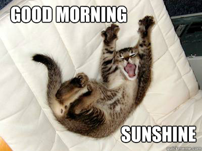 Good Morning Sunshine - Good Morning Sunshine  Morning 1